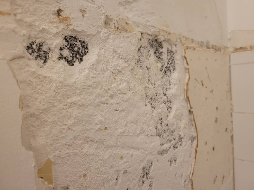 Appartement Rovis Juin 2024 (1)